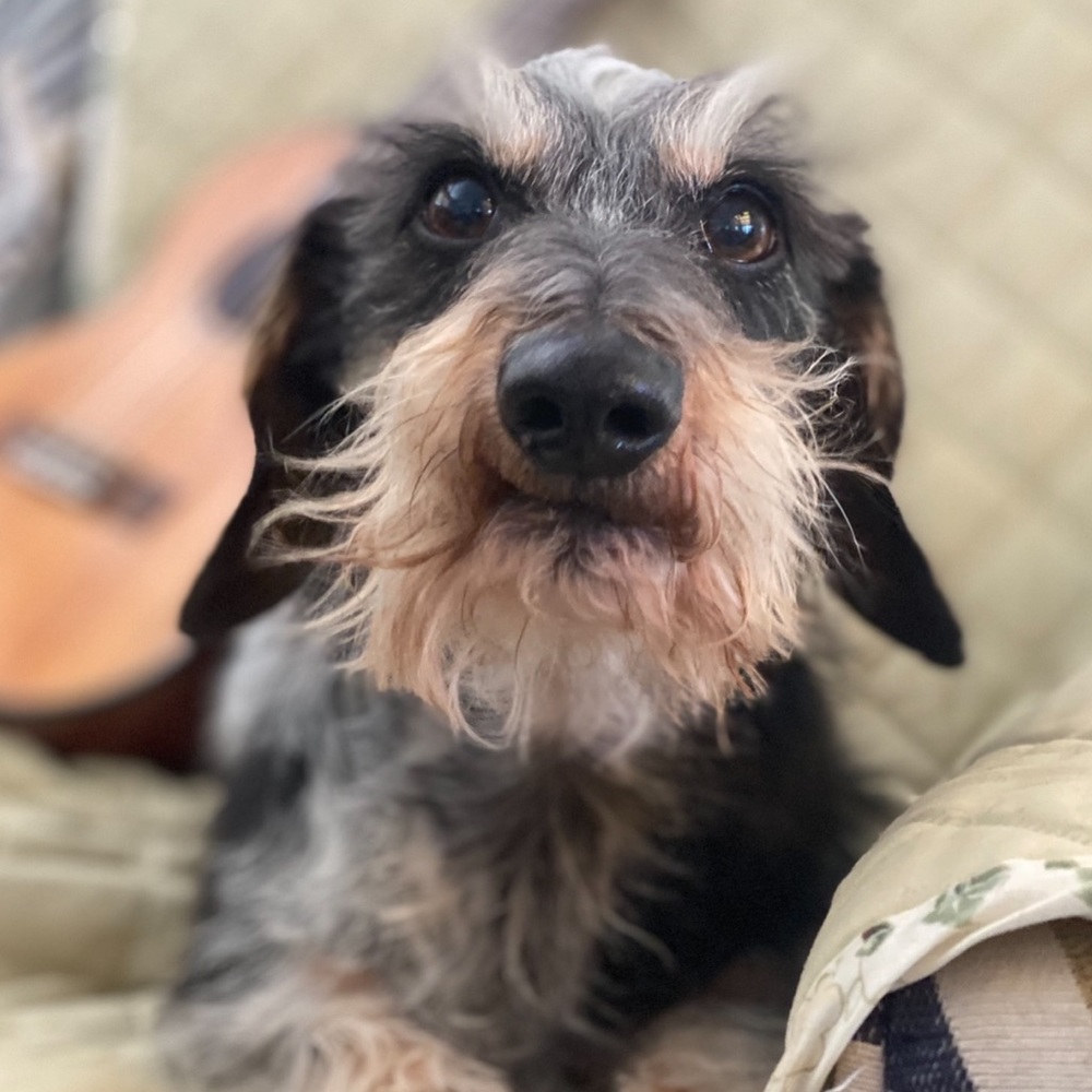 Meet your Posher, Sheralee